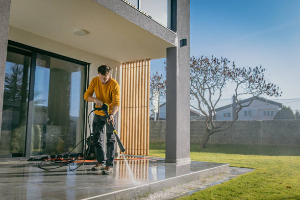 Best Graffiti Removal  in Oak Forest, IL